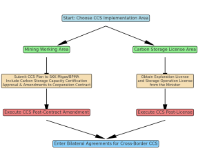 Flow Chart : the CCS implementation process in Indonesia 