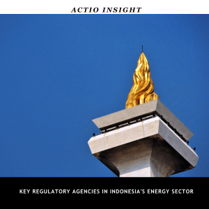 Key Regulatory Agencies in Indonesia's Energy Sector (1)