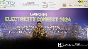 Electricity CONNECT 2024 Launch and Workshop Road to Electricity CONNECT 2024