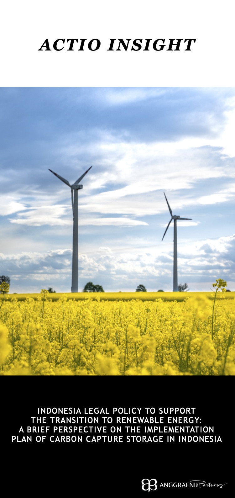Indonesia Legal Policy to Support the Transition to Renewable Energy - A Brief Perspective on the Implementation Plan of Carbon Capture Storage in Indonesia