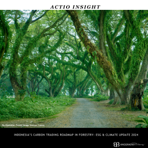 Indonesia’s Carbon Trading Roadmap in Forestry ESG & Climate Update 2024