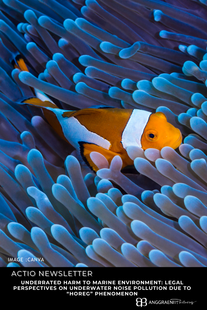 Featured Image for Underrated Harm to Marine Environment: Legal Perspectives on Underwater Noise Pollution due to “Horeg” Phenomenon